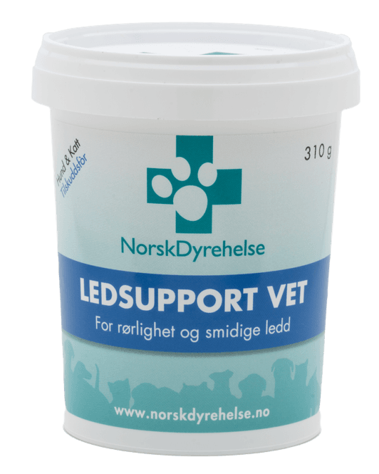 Hovedbilde Ledsupport VET