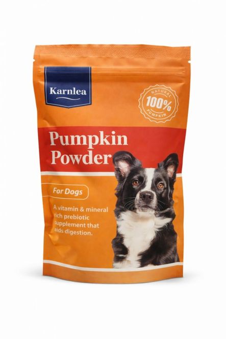 Hovedbilde Karnlea Pumpkin powder 
