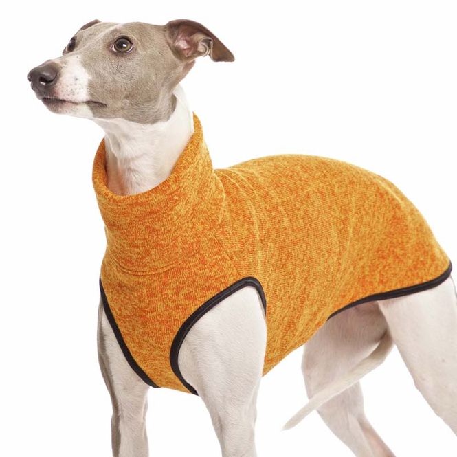 Hovedbilde Kevin Jumper 02 M2