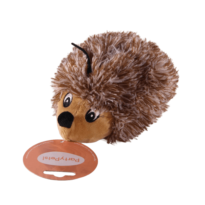 Hovedbilde Party Pets! Pinnsvin